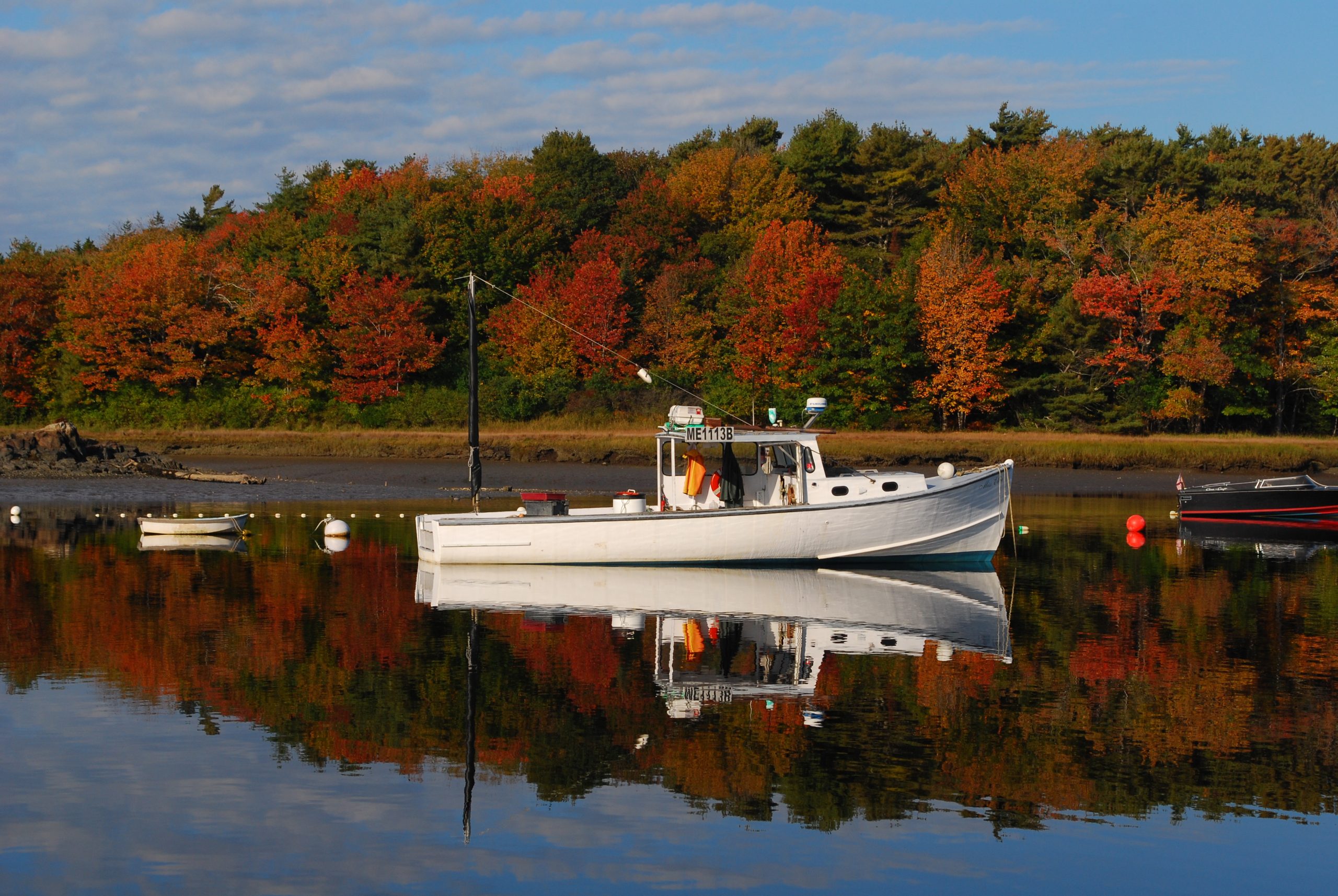 A fishing boat sits in the water before a horizon full of trees in autumn colors, under a blue sky full of fluffy clouds.